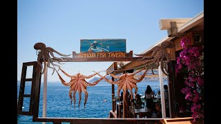 Ammoudi Fish  Tavern | The Ultimate Waterfront experience