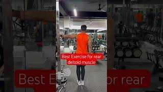 Best Exercise for rear deltoid muscle 💪