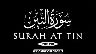 Surat At-Tin (The Fig) | Chapter No 95 | Quran Tilawat | Surah No 95 | Self Recitations #surahattin