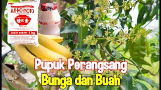 Pupuk perangsang bunga dan buah | Perawatan tanaman di halaman rumah