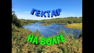 Гектар на Волге! Проект "Переезд в деревню"