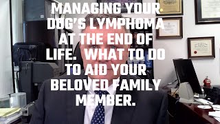 Dealing With Your Dog's Lymphoma And End Of Life Decisions.  A "How-To" Guide To Provide Care.