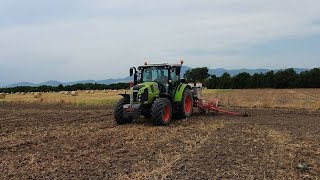 CLAAS ARION 410 - SEMINATRICE GASPARDO 6 FILE | SEMINA GIRASOLI | AZ.AGR. F.LLI CARLEA