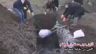 هشدار! این تصاویر ممکن است آزار دهنده باشد. دفن فوتی های بیماری کرونا در یکی از روستاهای شمال کشور