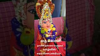 19 Jan தைவெள்ளி தாயை போற்றி வணங்கும் அன்பு மக்கள்