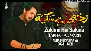 New_Nohay_2024___Zakhmi_Hai_Sakina___Farhan_Ali_Waris_mp3