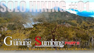 SOLO HIKING | GUNUNG SUMBING 3371 MDPL 2022 via KALIANGKRIK | PART 2 #solohiking #gunungsumbing