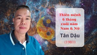 Thiên mệnh 6 tháng cuối năm Tân Sửu - Nam & Nữ tuổi Tân Dậu - 1981 [ Nguyễn Hưng - Tử vi ]