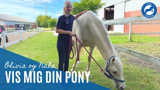 🦄 Vis mig din pony: Olivia og Nala 🦄