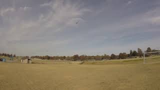 Dynam BF110 flown off of Grass field