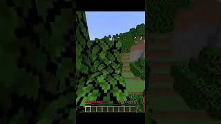 Minecraft AMA çimene değersem video biter ❌ #shorts