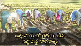 onion crop telugu| onion crop cultivation in telugu| onion crop framing in telugu||onion crop