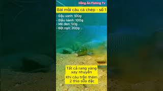 Bài mồi câu cá chép tự nhiên số 1 - Hồng Ân Fishing Tv #shots