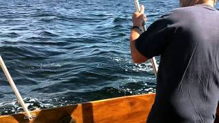 Mackerel fishing in Norway