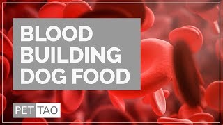 Zing: TCVM Blood Building Dog Food - PET | TAO