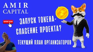 Amir Capital. План организаторов и запуск токена проекта. Что будет дальше.. Обзор.