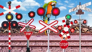 【 踏切アニメ 】 オウムのように音を模した踏切 😂🦜😂 Railroad Crossing that Imitates Sounds, Just Like a Parrot!!