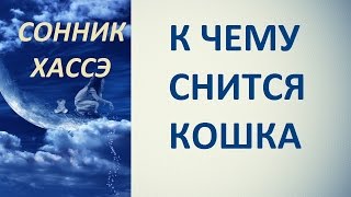 К чему снится кошка. Сонник Хассэ. Толкование снов.