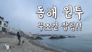 [다리tv] 원투 낚시 무조건 잡는 곳!!! 포항권 원투낚시 탐사 다녀왔어요!!