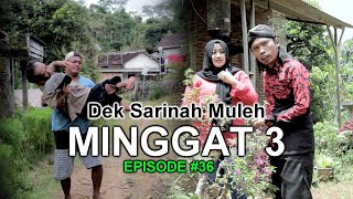 MINGGAT 3 (DEK SARINAH MULEH) EPISODE # 36