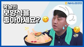 복날의 보양식을 좋아하세요? 🍲😋 (feat.삼복더위)