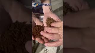 Ganoderma lucidum spore powder before and after supercritical co2 extraction