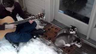 Adam serenades husky puppies with "Let it Snow!"