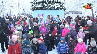 В предновогодние выходные Городские елки прошли в двух локациях