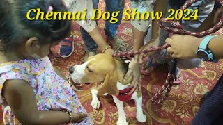 Chennai Dog show 2024|KCI|Madeas Canine Club|FCI international Dog show 2024