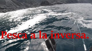 Rockfishing y pesca del sargo a la inversa. VLOG30