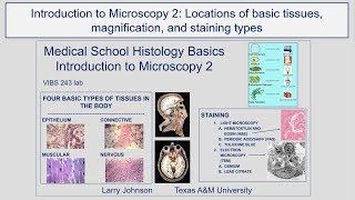 Locations of Basic Tissues, Magnification, and Staining Types