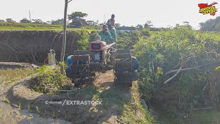 Lewati Jembatan Sempit Traktor Sawah Masuk Lahan