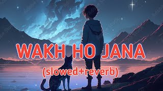 wakh ho jana slowed and reverb। wakh ho jana lofi song।#wakhhojanaslowed #slowedandreverb#lofimaster