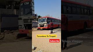 Turuvekere To Tirupati KSRTC Bus #shorts #shortsfeed #buslovers #bus #ytshorts