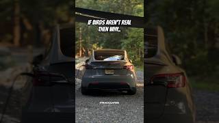 Tesla Model Y Performance Conspiracy Theories