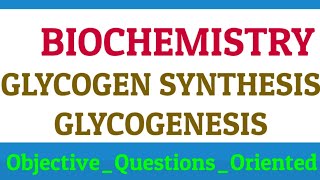 GLYCOGEN SYNTHESIS | Glycogen metabolism- Glycogenesis and Glycogenolysis , BIOCHEMISTRY LECTURES