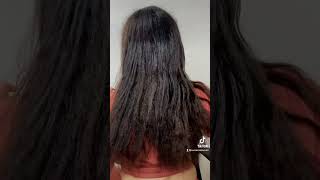 Straight Back Feed-in Braids on Long Natural Hair | Protective Hairstyle