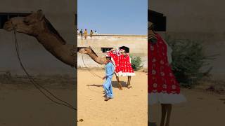 People decorating camels #shorts  #shortvideo #youtubeshorts