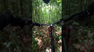 parte 2 na trilha #bike #automobile #mtb #bikearo29 #mtbtrilhasgerais #bicycle #mtbbrasilia