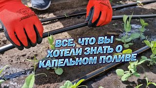 ВСЁ, ЧТО ВЫ ХОТЕЛИ ЗНАТЬ О КАПЕЛЬНОМ ПОЛИВЕ!