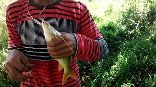 Pesca  de mandi rio dos bois. Ponte em cesarina cidade de goias #pesca #rio