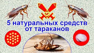 5 натуральных средств от тараканов