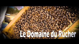 Le domaine du Rucher