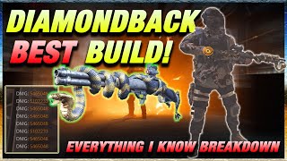 BEST DIAMONDBACK BUILD TU9 BREAKDOWN/GUIDE | The Division 2