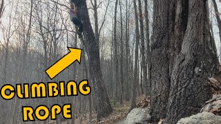 How to install a climbing rope in a tall tree