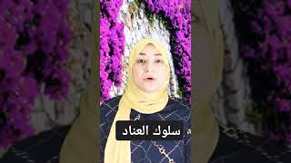 أسباب سلوك العناد