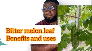 Bitter Melon leaf Benefits and uses