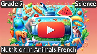 Grade 7 | Science | Nutrition in Animals French | Free Tutorial | CBSE | ICSE | State Board