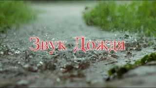 Звук Дождя 2021. - Rain Sound For Sleeping -  Шум дождя