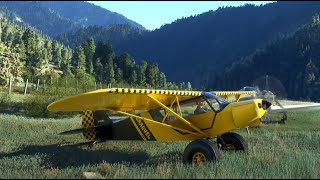 MSFS Group Bush Flying! Multiplayer in the backcountry in 3rd Person